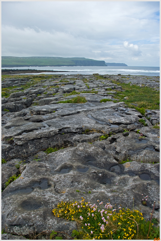 Burren - Doolin  800_IGP3538