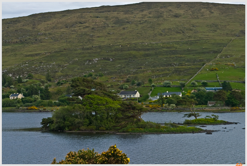 Ring of Connemara  800_IGP3585