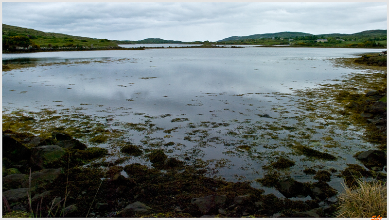 Ring of Connemara  800_IGP3599