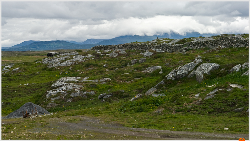 Ring of Connemara  800_IGP3616