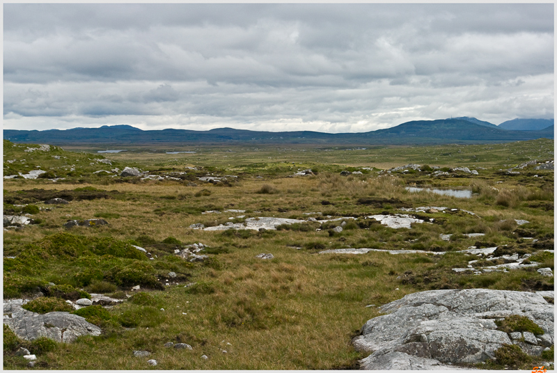 Ring of Connemara  800_IGP3617