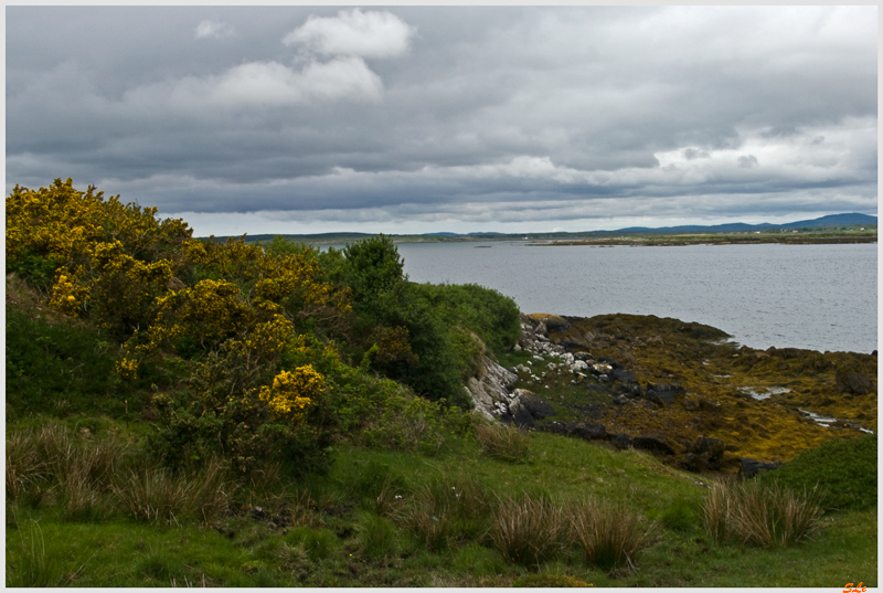 Ring of Connemara  800_IGP3632