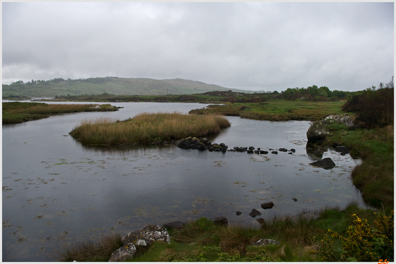 Ring of Connemara  800_IGP3640