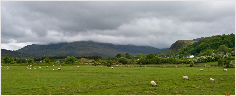 Ring of Connemara  800_IGP3651