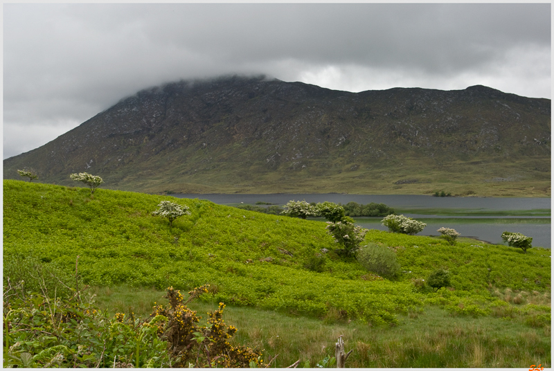 Ring of Connemara  800_IGP3653