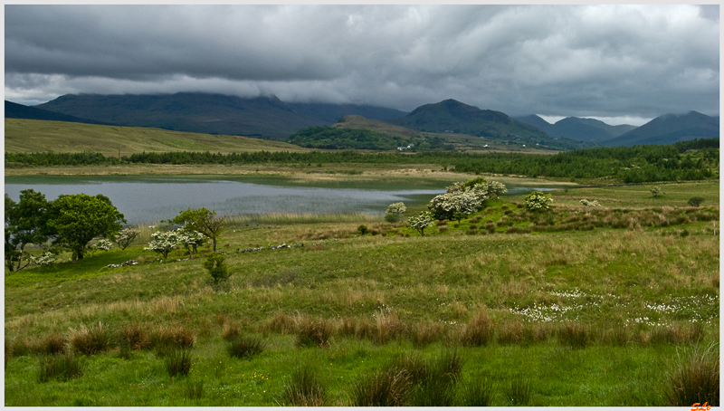 Ring of Connemara  800_IGP3655