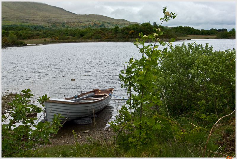 Ring of Connemara  800_IGP3665