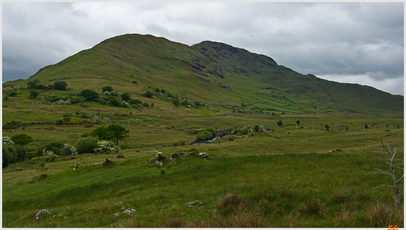 Ring of Connemara - Joyce Country  800_IGP3676