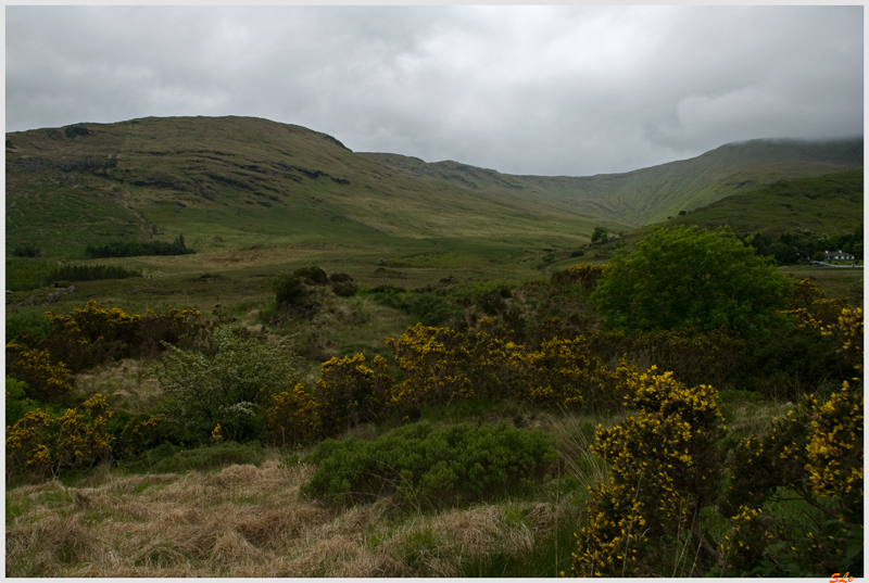 Ring of Connemara - Joyce Country  800_IGP3698