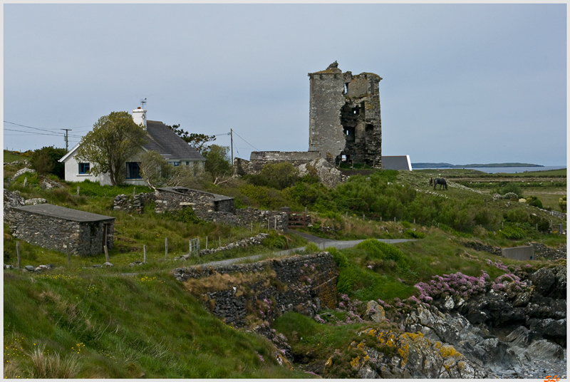 Ring of Connemara - Rinvyle castle  800_IGP3828