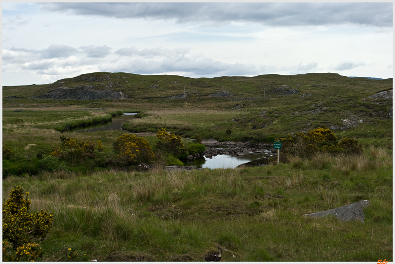 Ring of Connemara  800_IGP3844