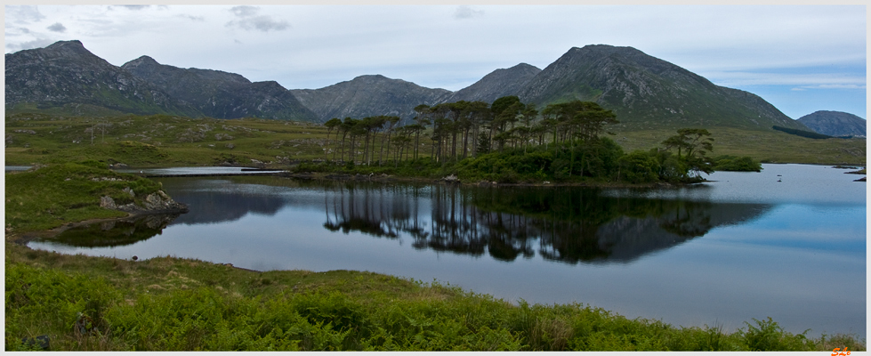 Ring of Connemara  800_IGP3845