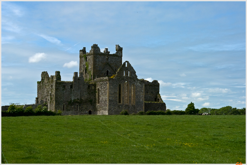 Ring of Hook - Dunbrody Abbey  800_IGP3868