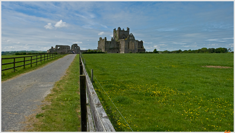 Ring of Hook - Dunbrody Abbey  800_IGP3869