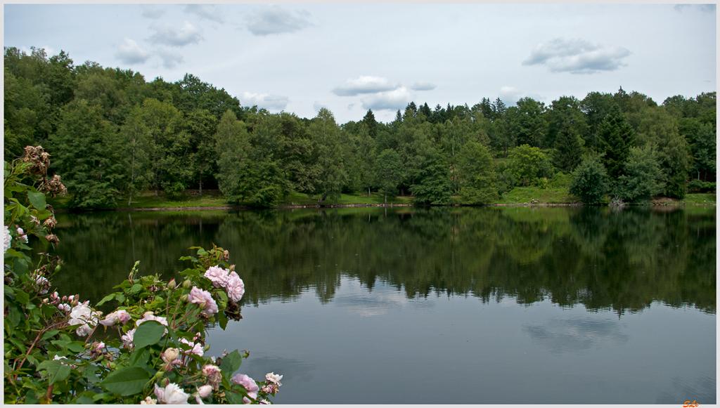 Etang de la doye ( 800_IGP5038 )