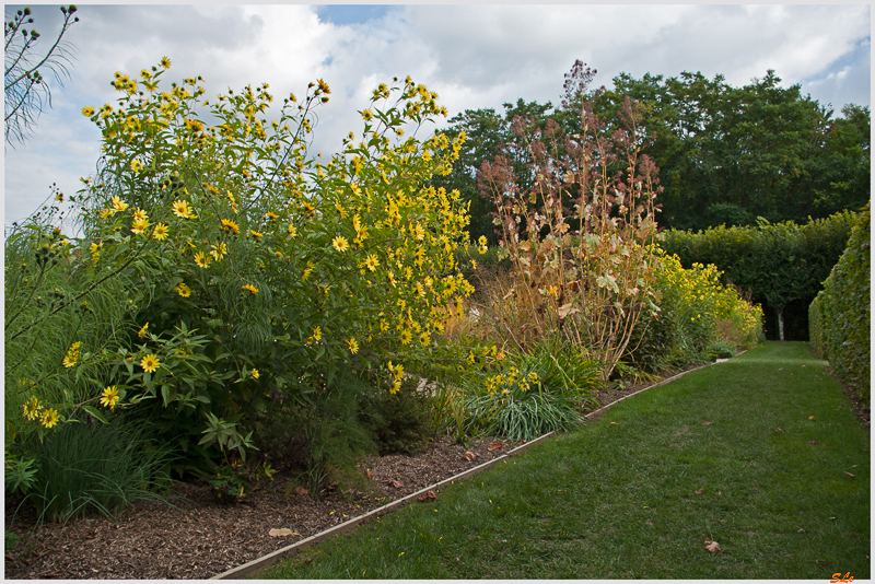 Jardin de Villandry - Jardin du Soleil ( 800_IGP6211 )