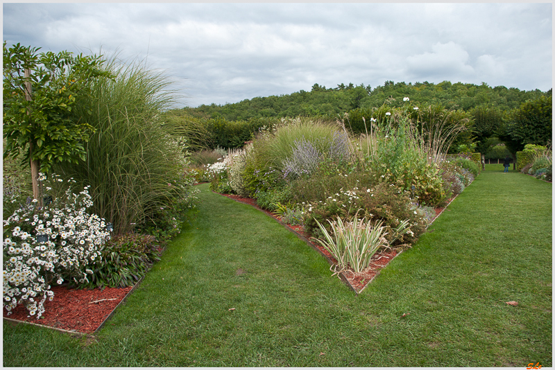 Jardin de Villandry - Jardin du Soleil ( 800_IGP6215 )