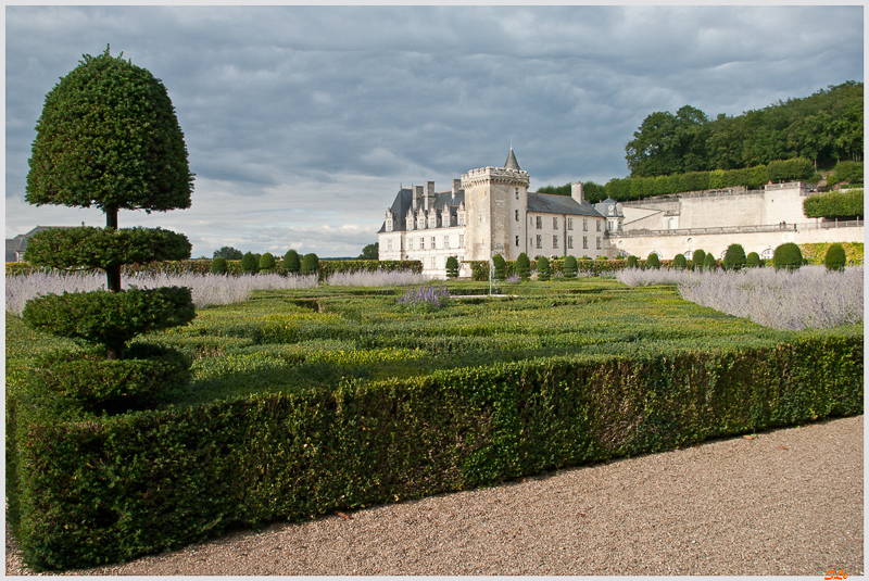 château de Villandry ( 800_IGP6218 )