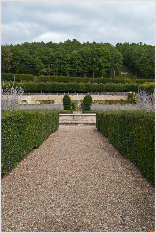 Jardin de Villandry - Jardin d'Ornement ( 800_IGP6219 )