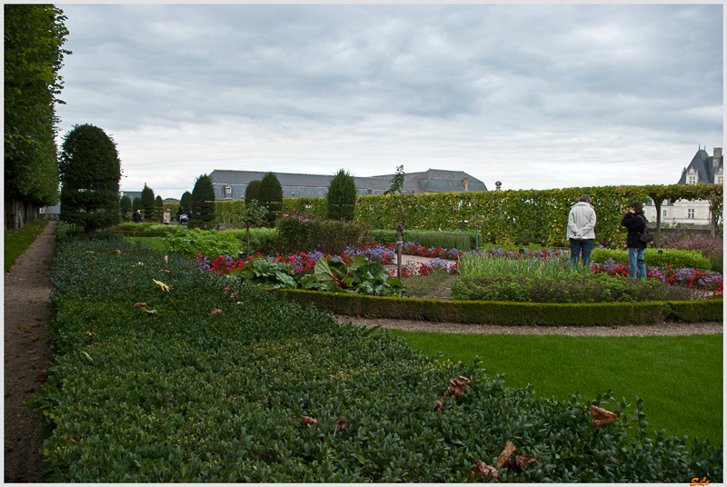 Jardin de Villandry - Le jardin des simples ( 800_IGP6224 )