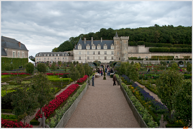 Jardin de Villandry - Le potager ( 800_IGP6226 )