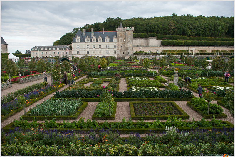 Jardin de Villandry - Le potager ( 800_IGP6227 )