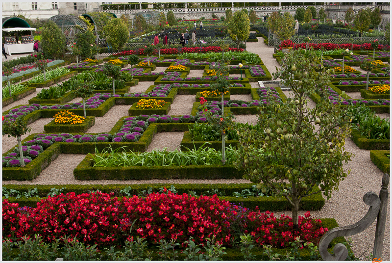 Jardin de Villandry - Le potager ( 800_IGP6229 )