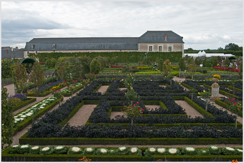 Jardin de Villandry - Le potager ( 800_IGP6237 )