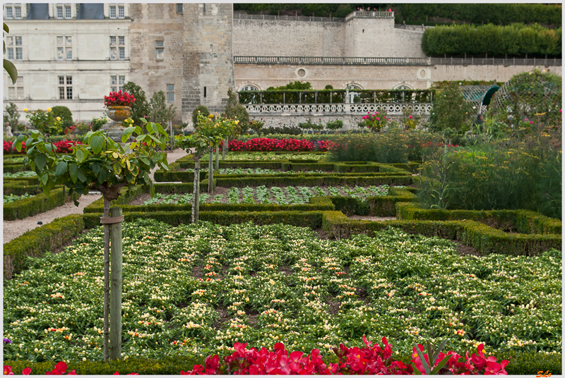 Jardin de Villandry - Le potager ( 800_IGP6241 )