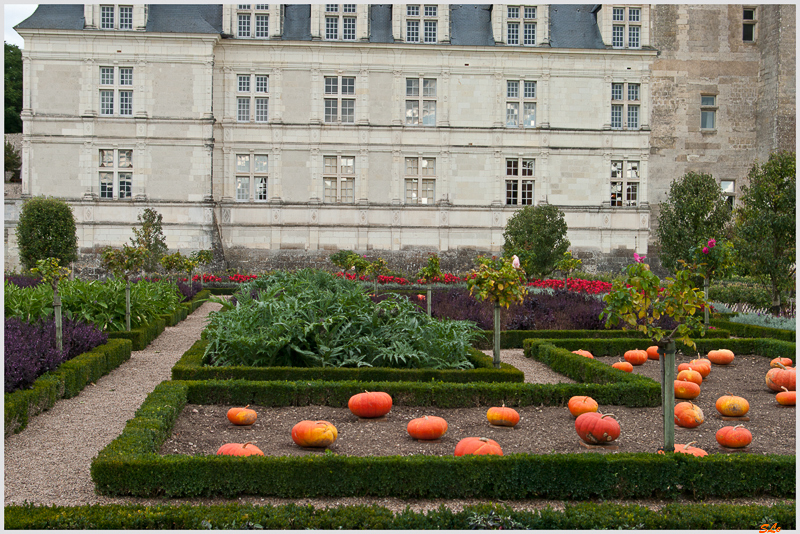 Jardin de Villandry - Le potager ( 800_IGP6247 )