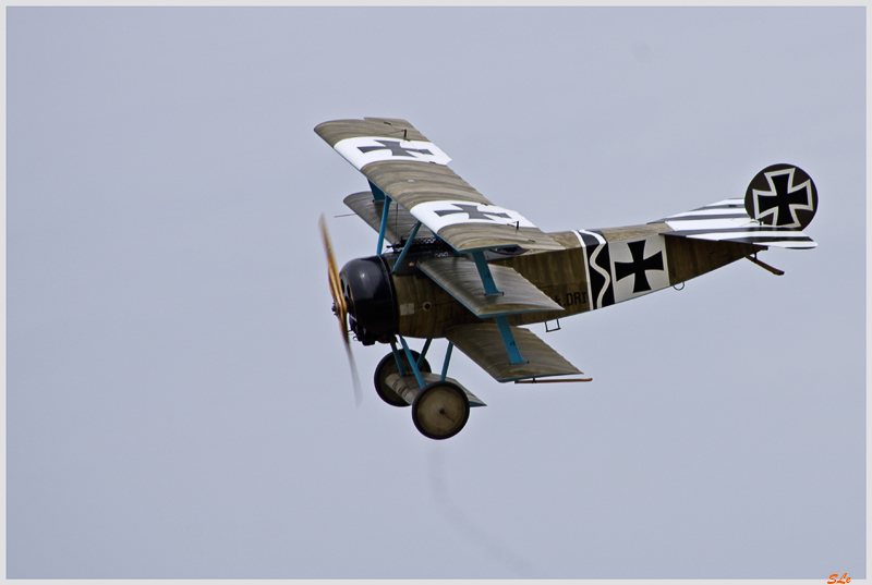 L'aube des As - Fokker Dr1 ( IMGP0546 )