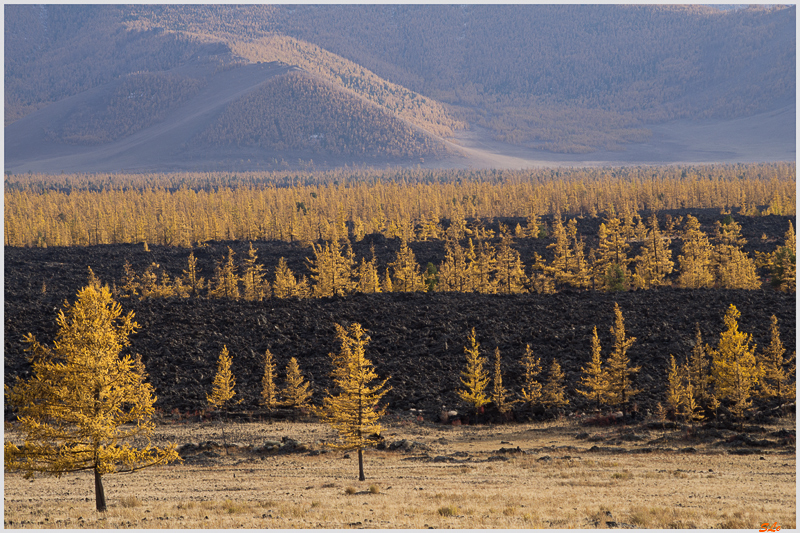 Parc national de Terkhin Tsaagan Nuur ( IMGP1605 )