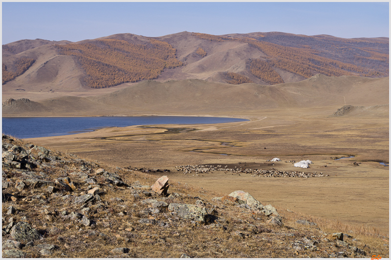 Parc de Terkhin Tsaagan Nuur - Camp de nomade ( IMGP1723 )