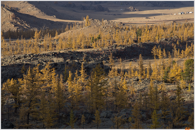 Parc national de Terkhin Tsaagan Nuur ( IMGP1873 )