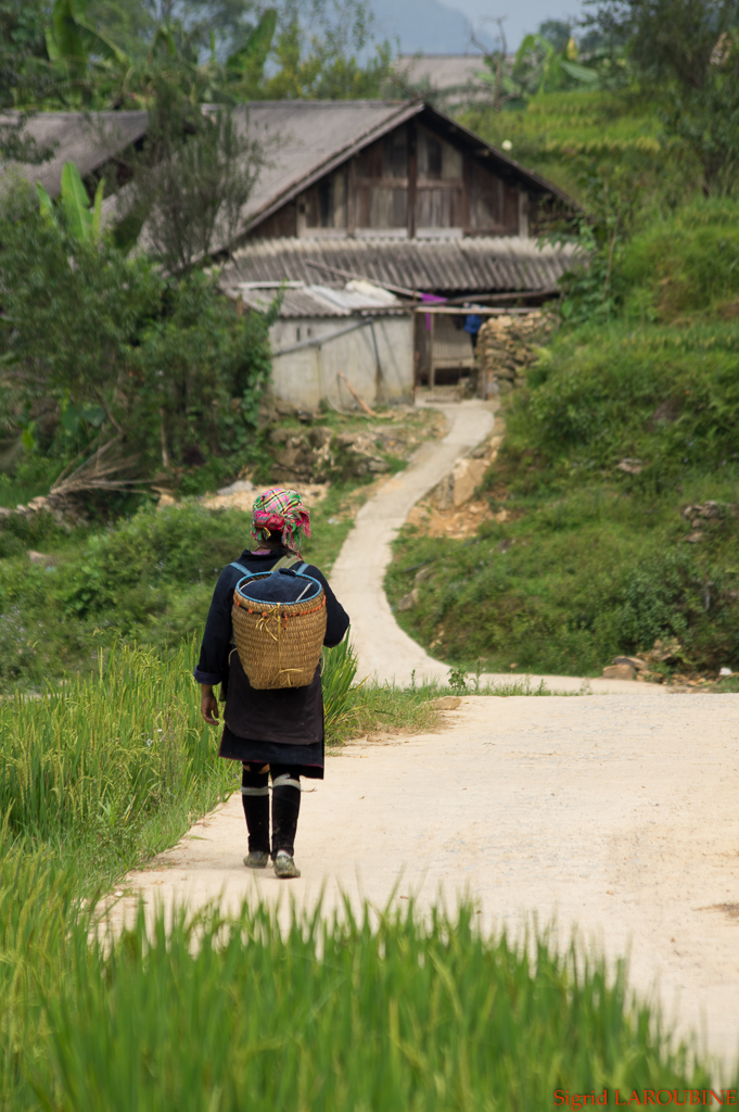 Sapa ( _IMG5944 )