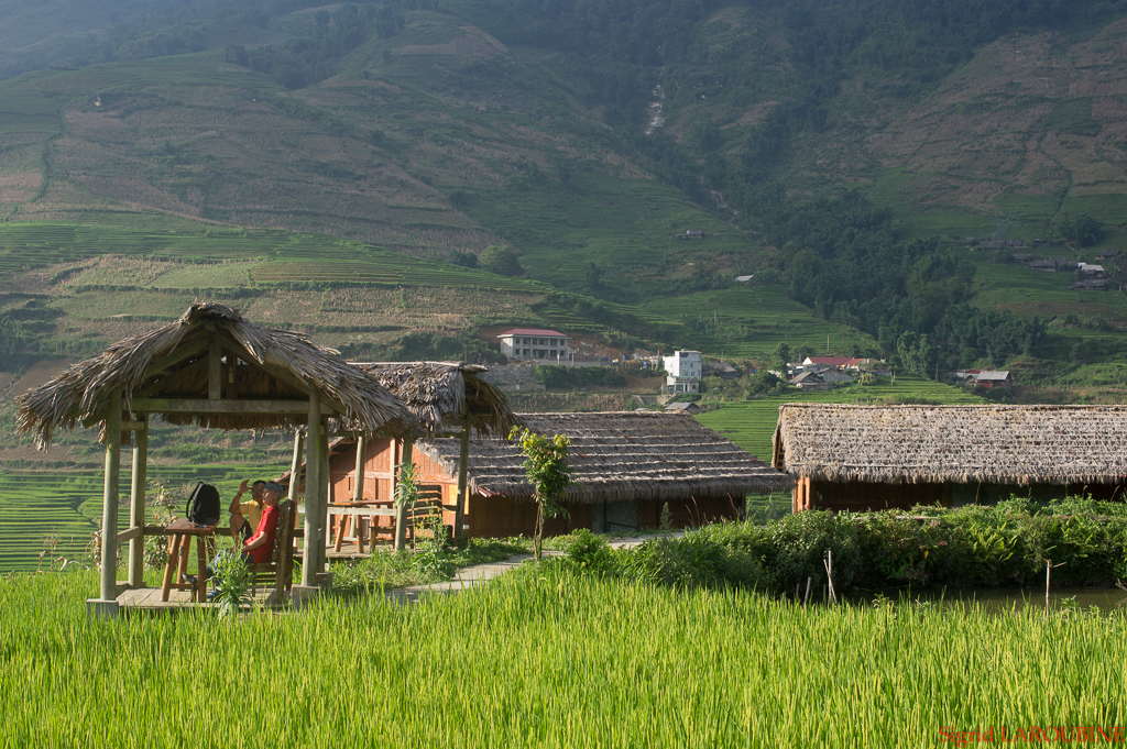 Sapa ( _IMG5964 )