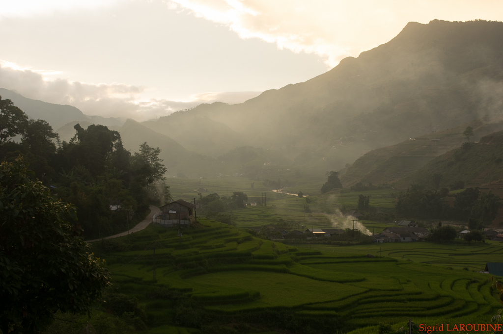 Sapa ( _IMG5969 )